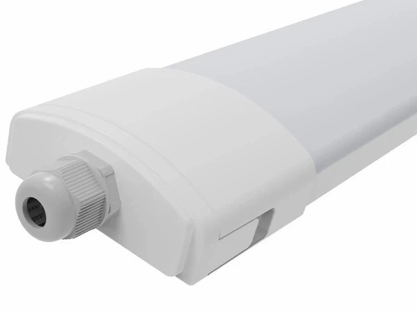 Eco Version D2.5 LED Triproof Light